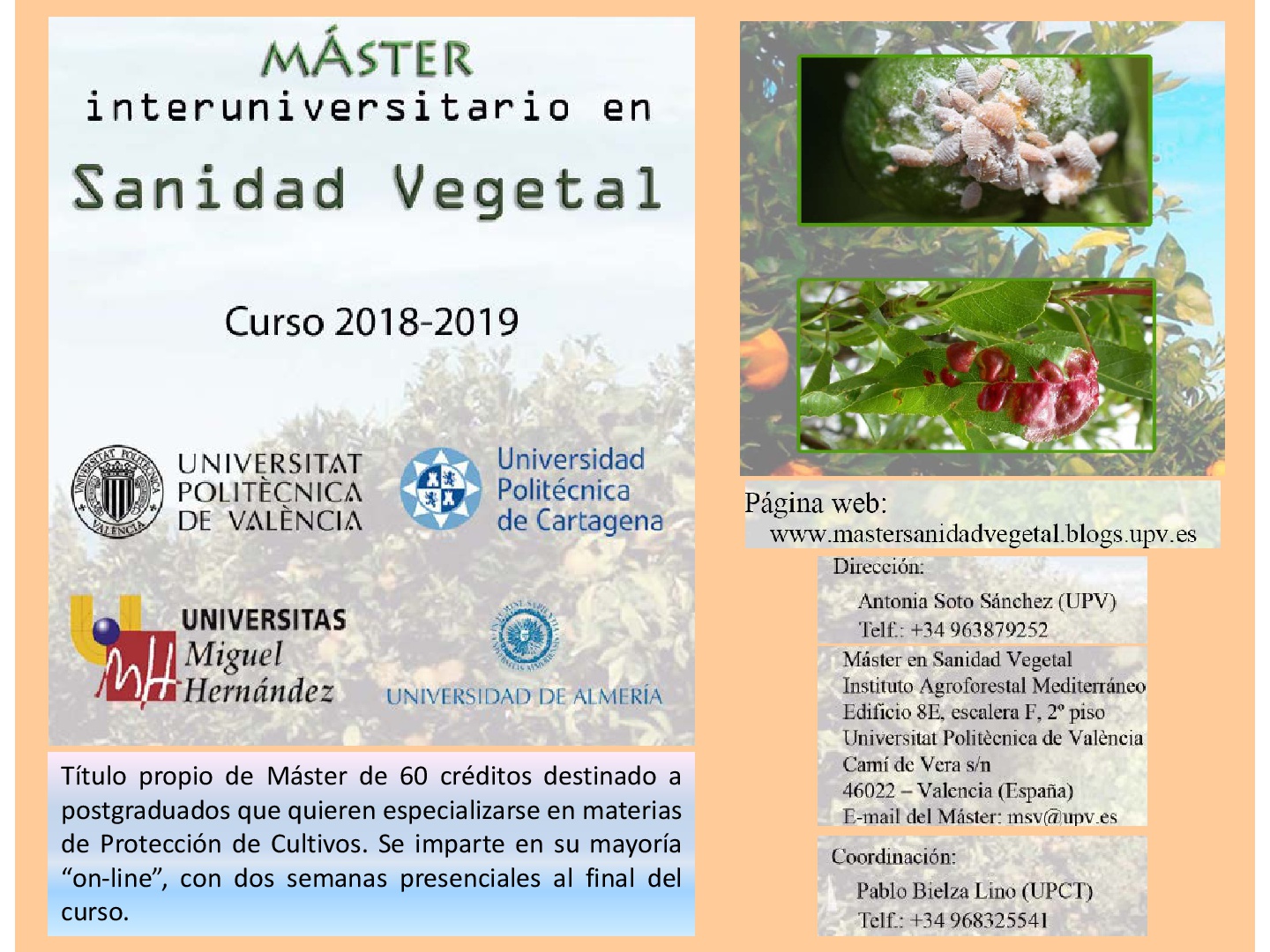 MASTER SV UPV cartel 050718