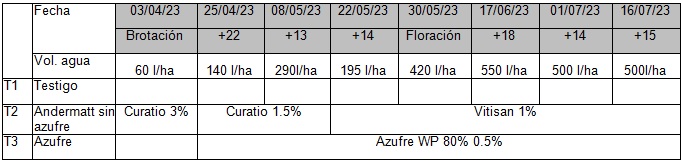 GRAFICO 1