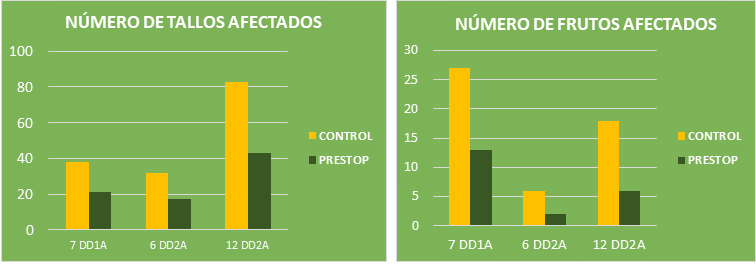 MASSO GRAFICAS 230221