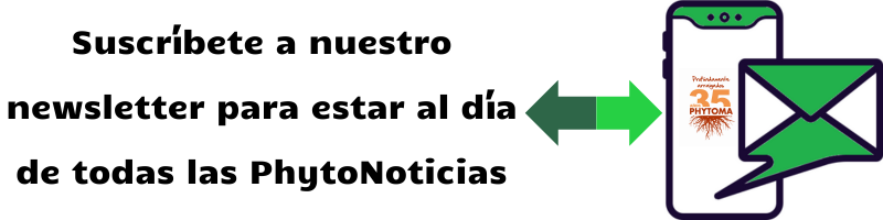 Banner 800x200 suscripcion NEWSLETTER