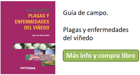 guia viña con boton