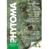 portada_295_web
