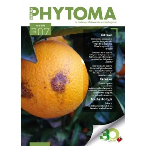 portada_307_web
